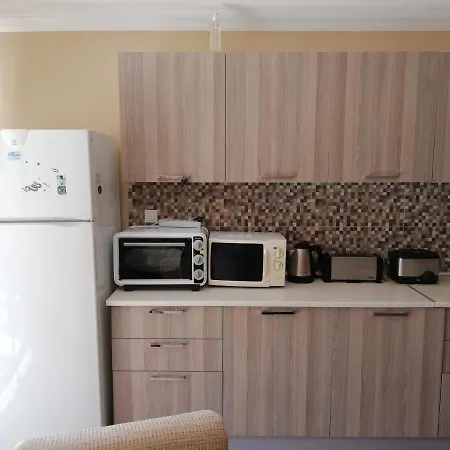 2 - Holy Art Villas Plajda Tripleks 别墅 *