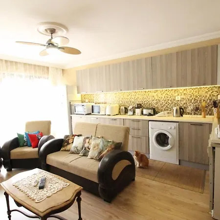 2 - Holy Art Villas Plajda Tripleks * 费特希耶